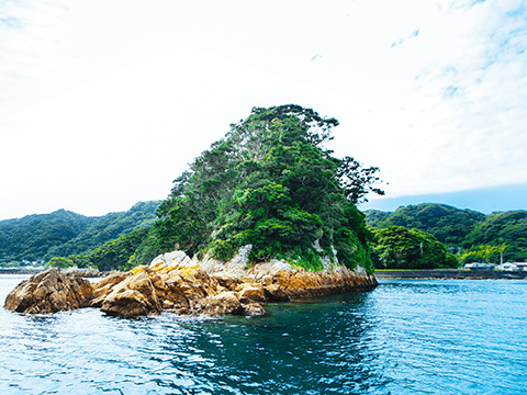 権現島