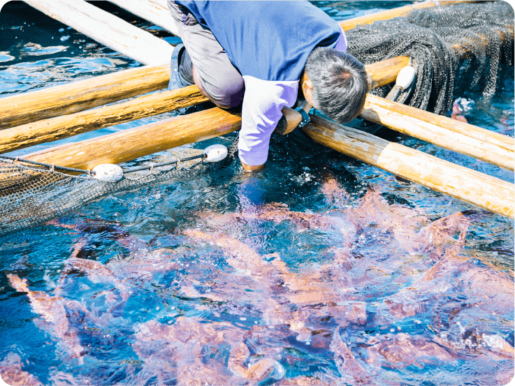 岩谷水産のご紹介