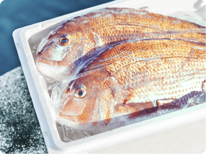 お客様の釣った魚をご自宅へ配送いたします！