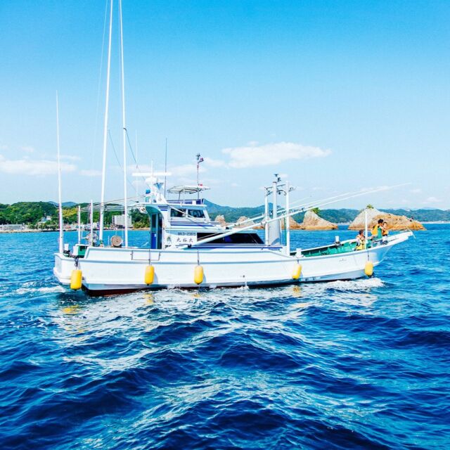はじまして！

南紀串本観光『SUN海』です🌞🚢

「串本の海をとことん楽しむ」をコンセプトに様々な串本の海の観光体験プランをご用意しています😀

⛴串本湾クルージング

🐟梅マダイと梅クエのエサやり体験

🎣ちょい釣り体験（カセ釣り体験）

🍴古民家レストラン「大裕丸」で食事

ファミリー・カップル・ご高齢の方まで、幅広くお楽しみいただける、様々な『観光体験プラン』をご用意しております👨‍👩‍👧‍👧

舞台は、本州最南端の串本町の美しい海。😊

海からしか見ることの出来ない特別な景色を大切な方とお楽しみいただけます🌈🌞

#串本観光 #SUN海 #串本観光体験ならSUN海 #串本の海をとことん楽しむ！ #体験型観光 #串本の海 #串本の海が好き #串本湾クルージング #梅マダイと梅クエのエサやり体験 #魚のエサやり体験 #海が好きな人と繋がりたい #自然が好きな人と繋がりたい #本州最南端の海の観光体験 #本州最南端 #串本町 #紀伊大島 #串本古民家レストラン #大裕丸亭 #串本ランチ大裕丸亭 #串本海鮮レストラン大裕丸亭 #串本伊勢海老天丼 #串本生産者レストラン #串本地魚料理 #串本釣り体験 #串本釣り #串本観光スポット #橋杭岩 ##橋杭岩を船から見る #串本ロケット観光船